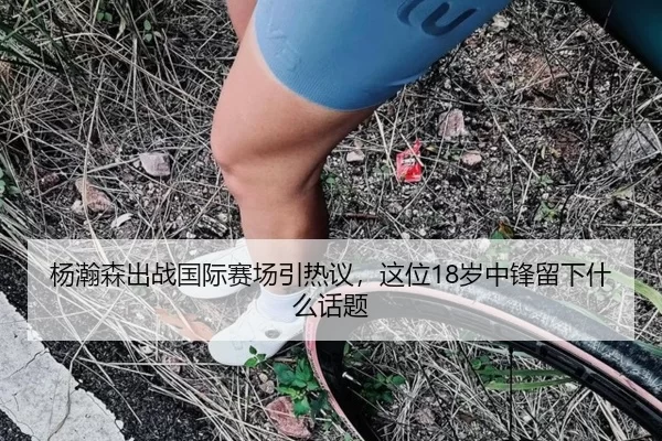 杨瀚森出战国际赛场引热议，这位18岁中锋留下什么话题